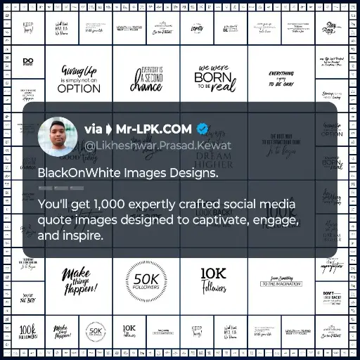 BlackOnWhite Designs