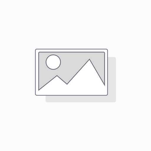 WordPress Development Service